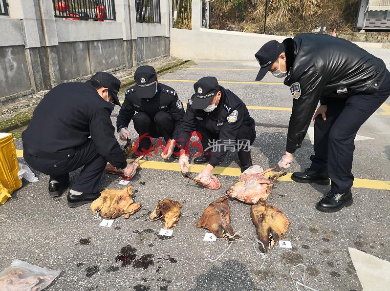 杭州地区野猪数量探究，究竟有多少头野猪？_动态词语解释