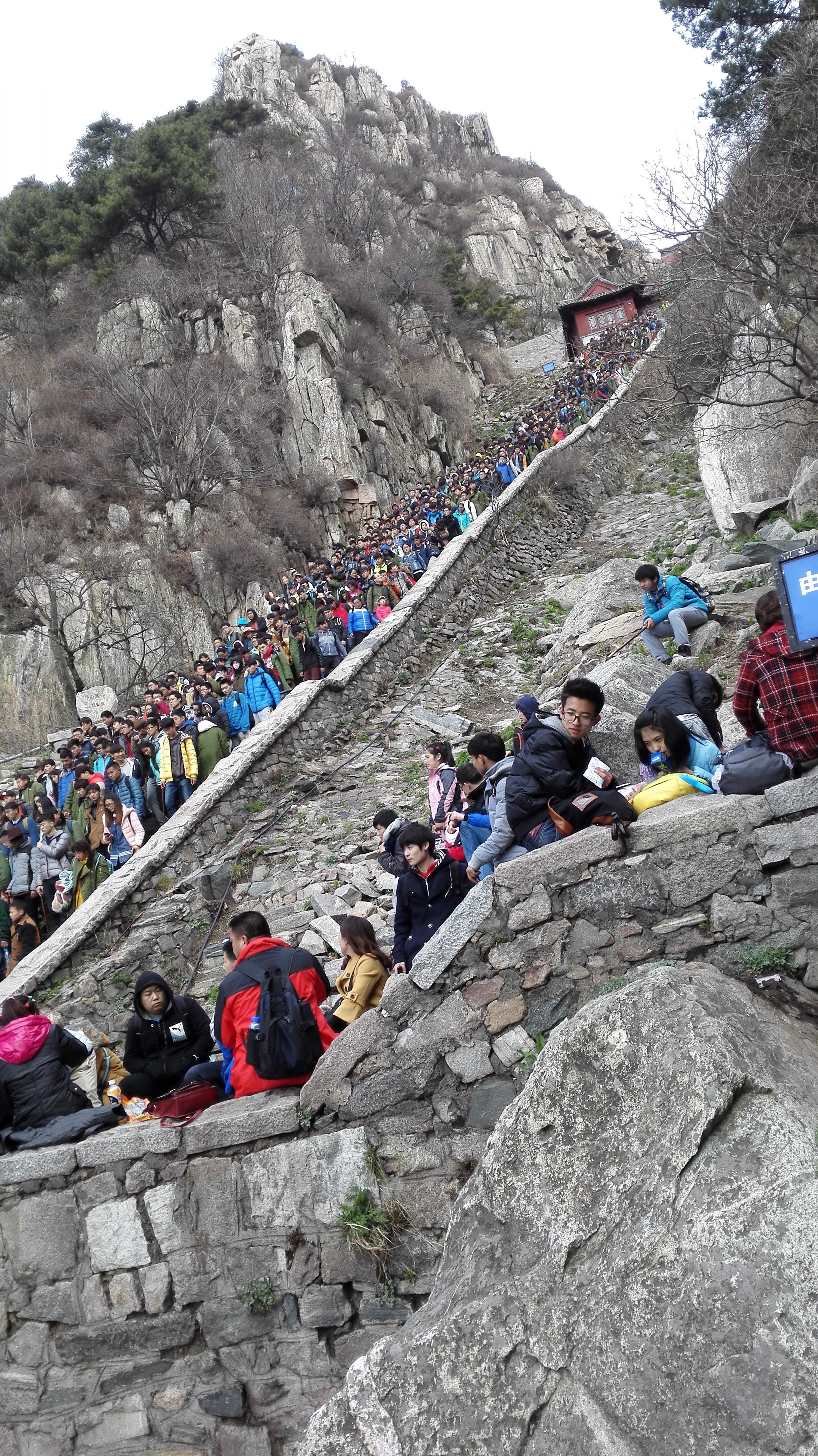 跨年夜爬泰山，挑战自我，追寻心灵之旅_解答解释落实