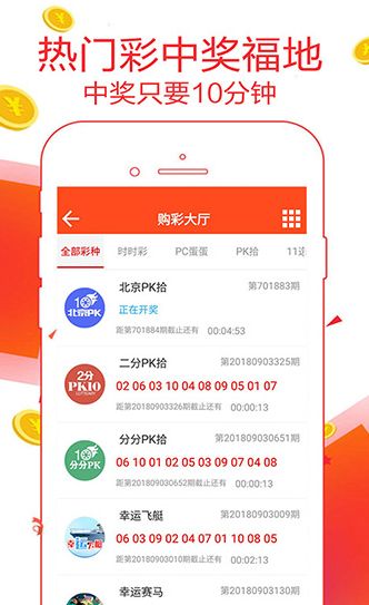 2024年新澳门王中王免费,资料解释落实_app89.766