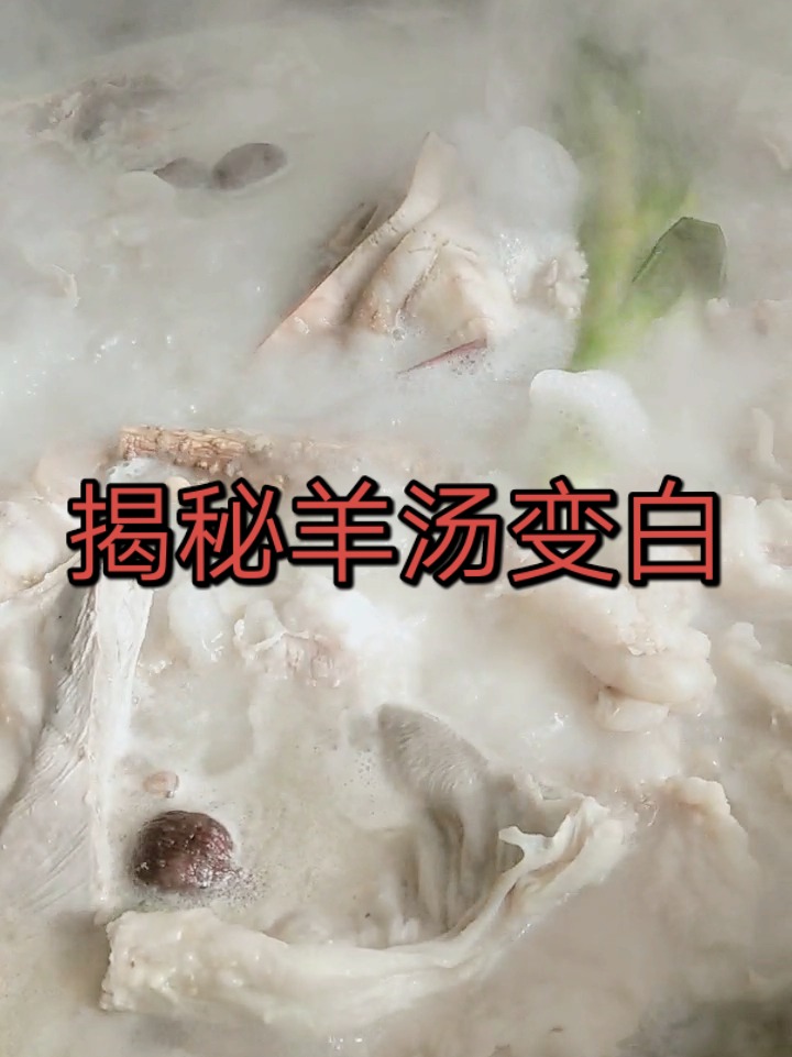 羊汤发白之谜，羊油的作用与真相探寻_有问必答