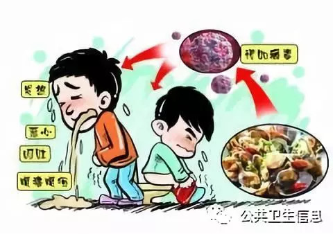 高校多学生肠道不适，成因与对策_全面解释落实