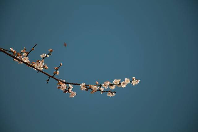 毛不易冬至送广州一场雪