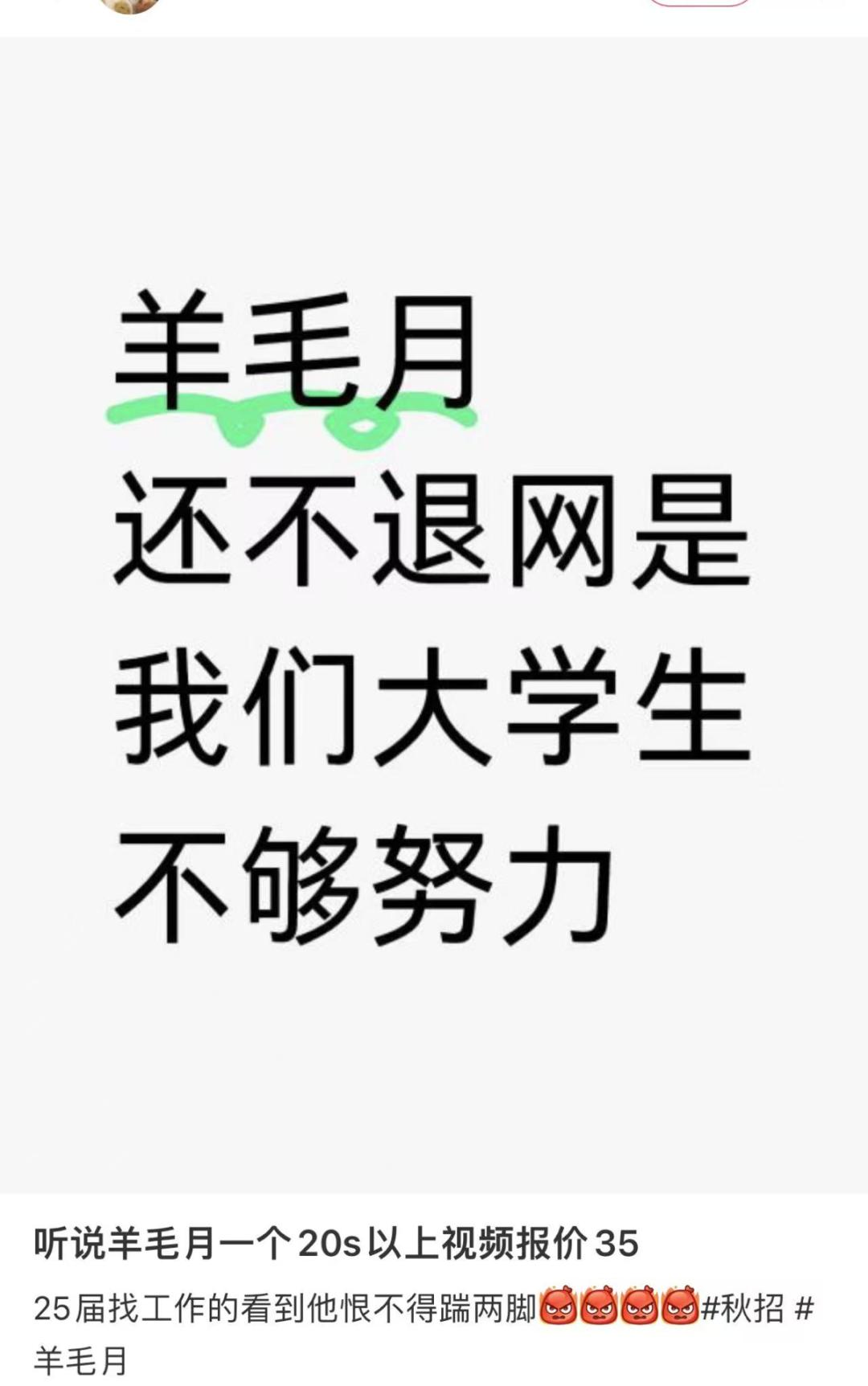 网红羊毛月被禁止关注背后的故事与反思