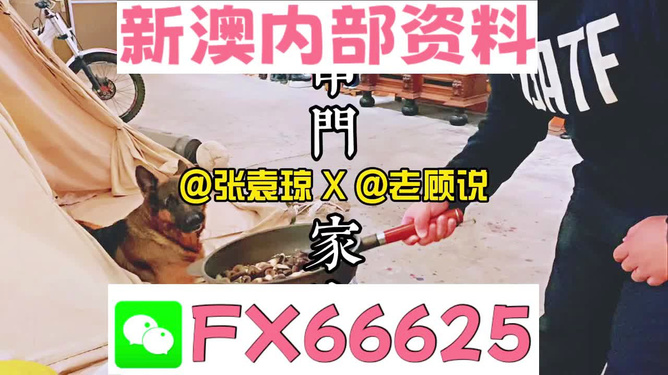 管家婆精准资料免费大全香港_超值版93.149——效率解答解释落实