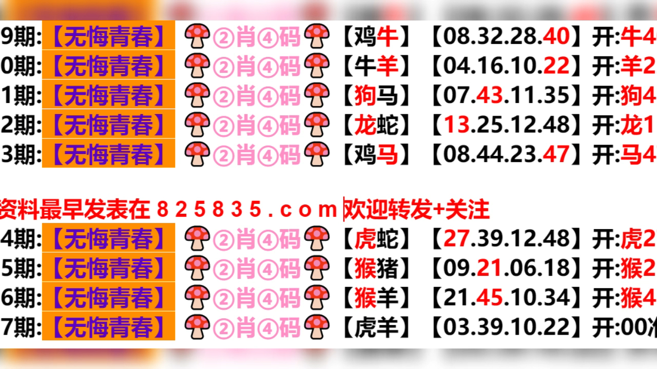 新奥门六开奖结果2024年查询_扩展版45.297——方案细化和落实