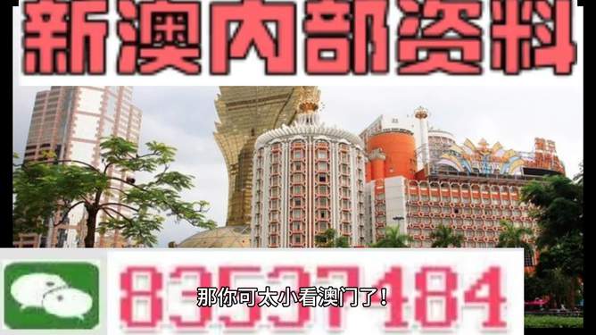 4949澳门精准免费大全2023_MT53.762——新挑战与机遇的应对