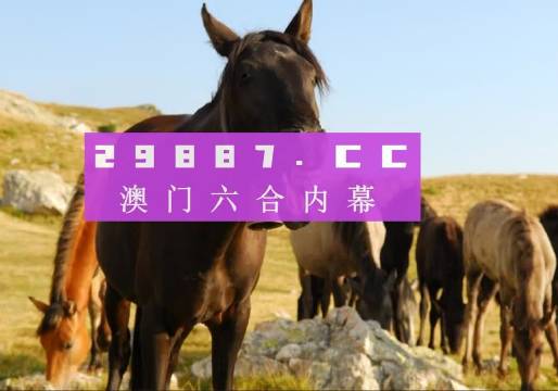 新澳门管家婆一肖一码一中特_HDR版68.619——揭示数字选择的背后逻辑