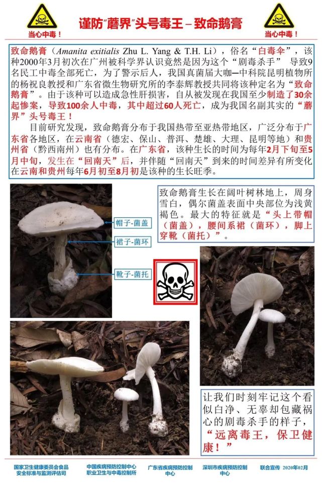 警惕新澳门精准四肖期期一一惕示背