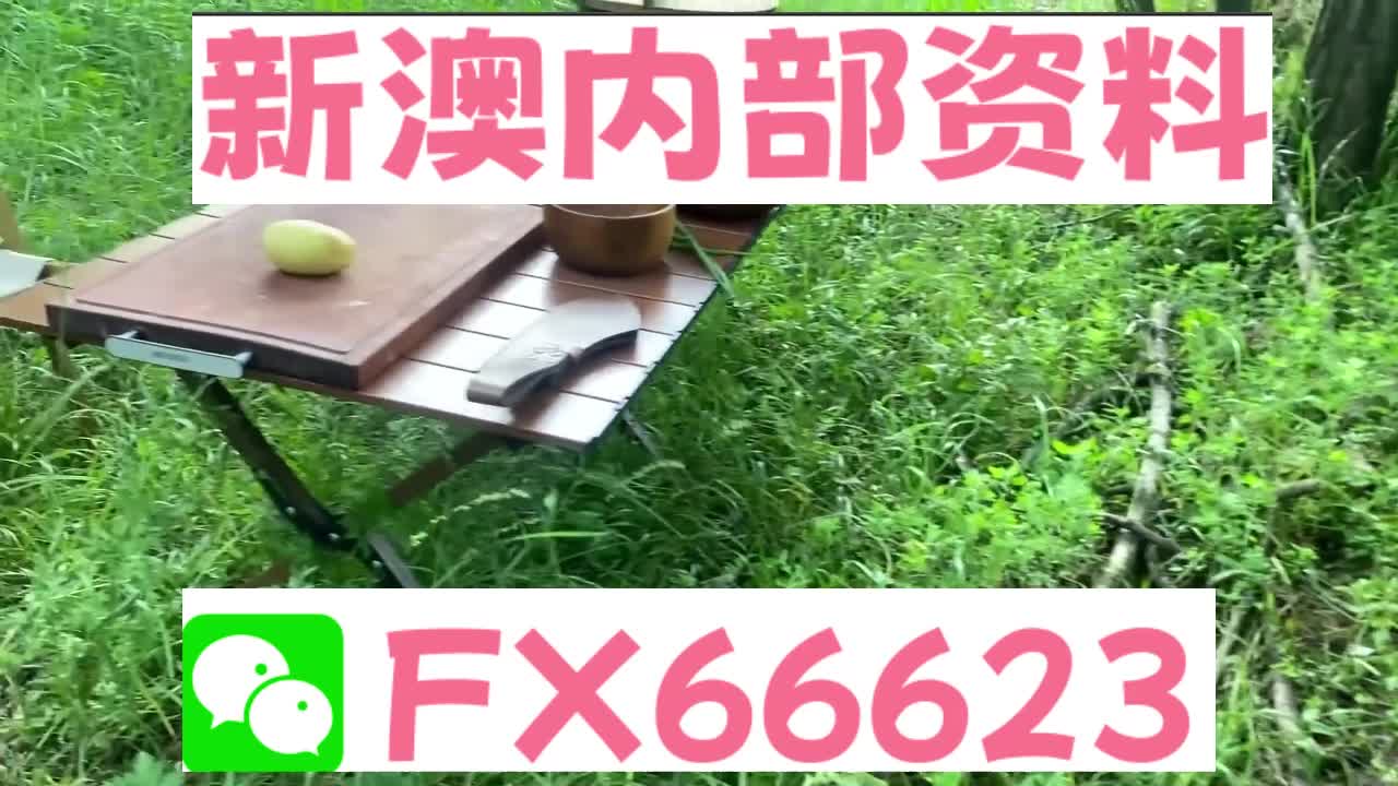 新澳六叔精准资料大全_UHD版23.184——揭示数字背后的故事