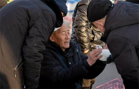 建党百年庆典之际，和平鸽的飞翔与放飞视频的深意