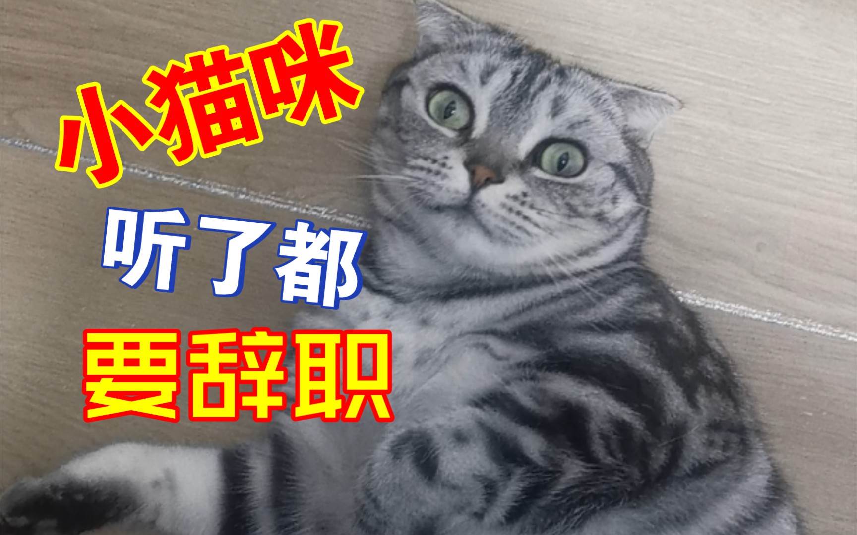 猫步轻舞，职场中的意外插曲与键盘上的辞职交响曲