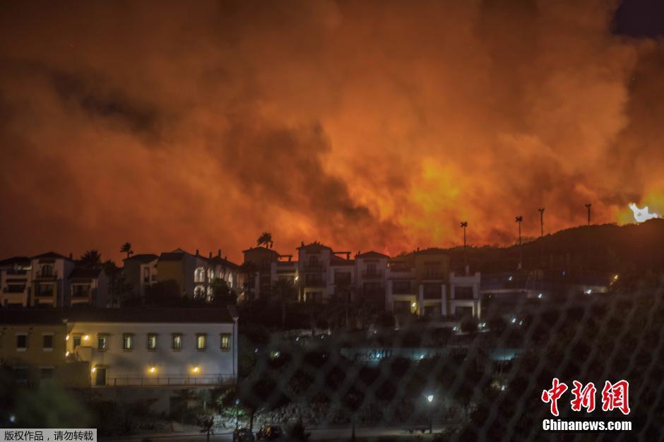 天水一地惊现山火肆虐，自然警钟与反思之火