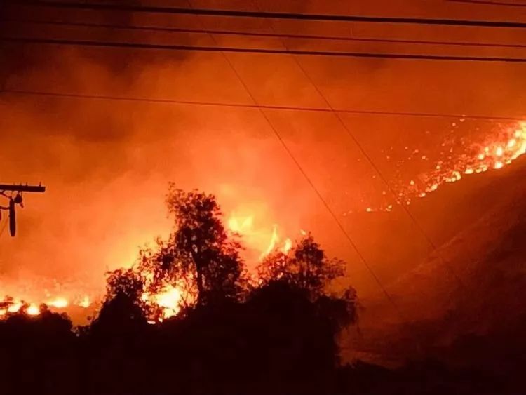 加州山火亲历者，除了逃什么都做不到