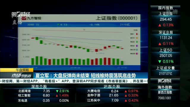 业内揭秘，大盘短线反弹完毕——股市走势分析与预测