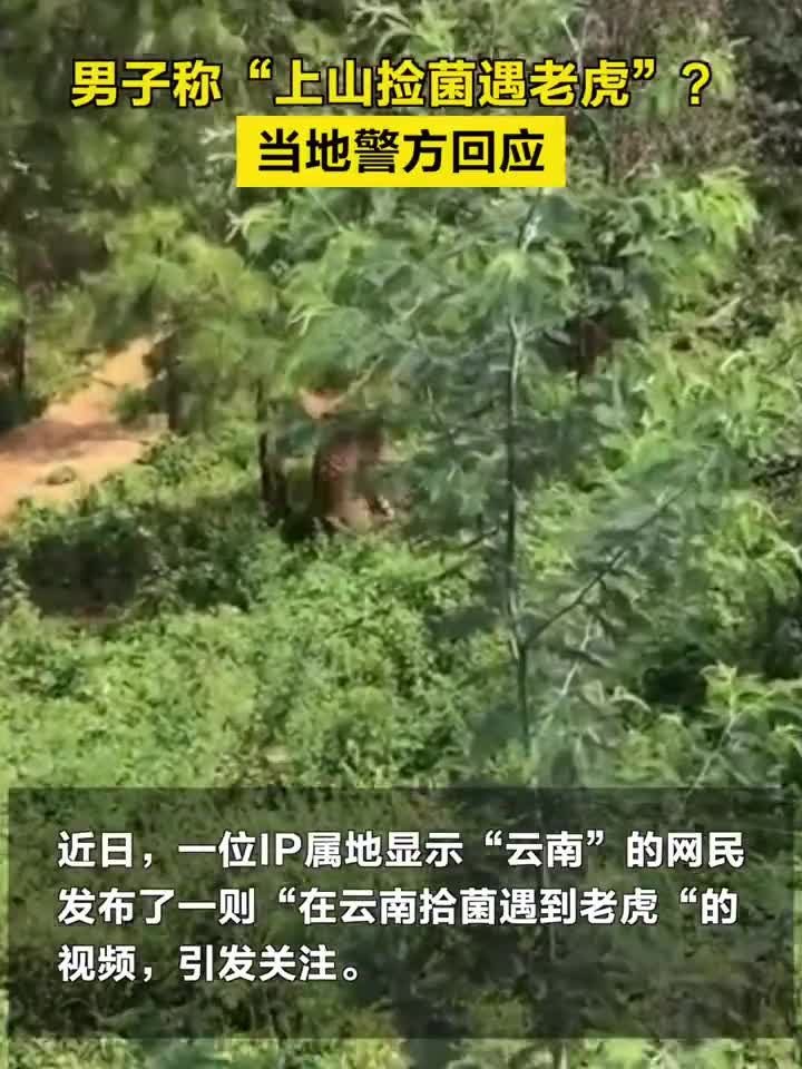 辟谣大同山出现猛虎，探寻真相与应对谣言的智慧