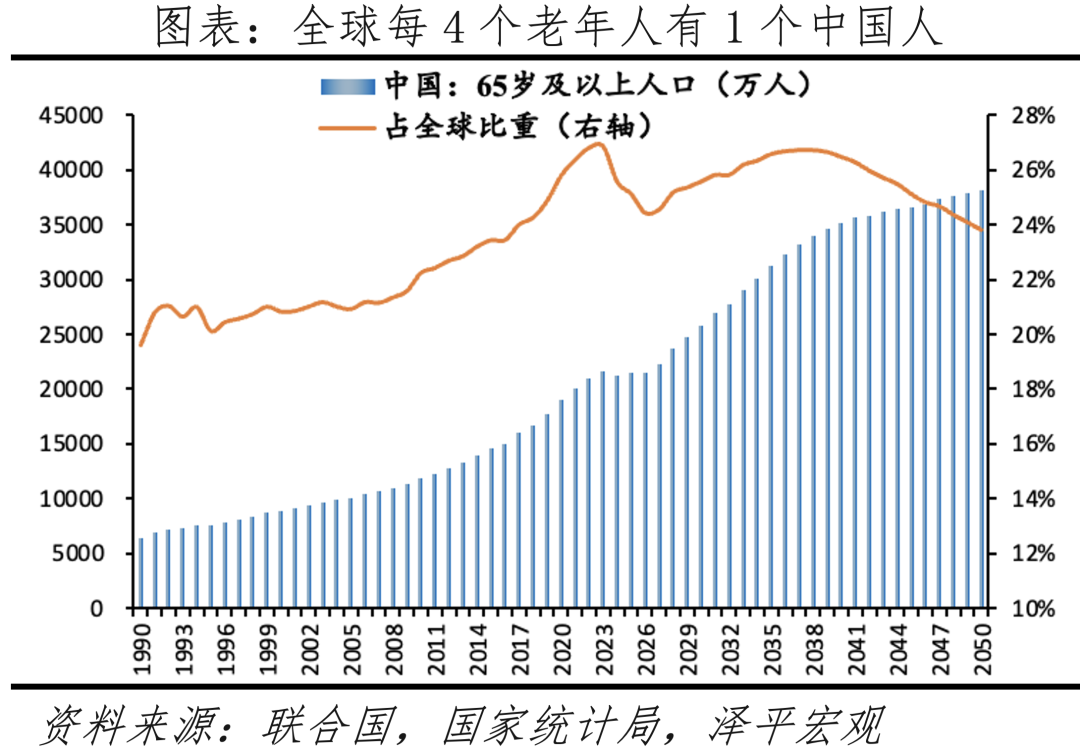 2024年中国老年人口3.1亿