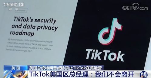 TikTok停止在美服务，数字时代的蝴蝶效应