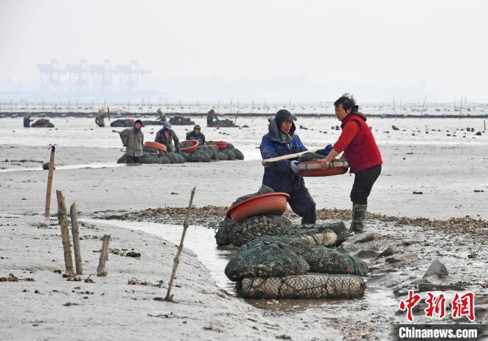 大V揭秘，福建舰重新上岸的背后故事