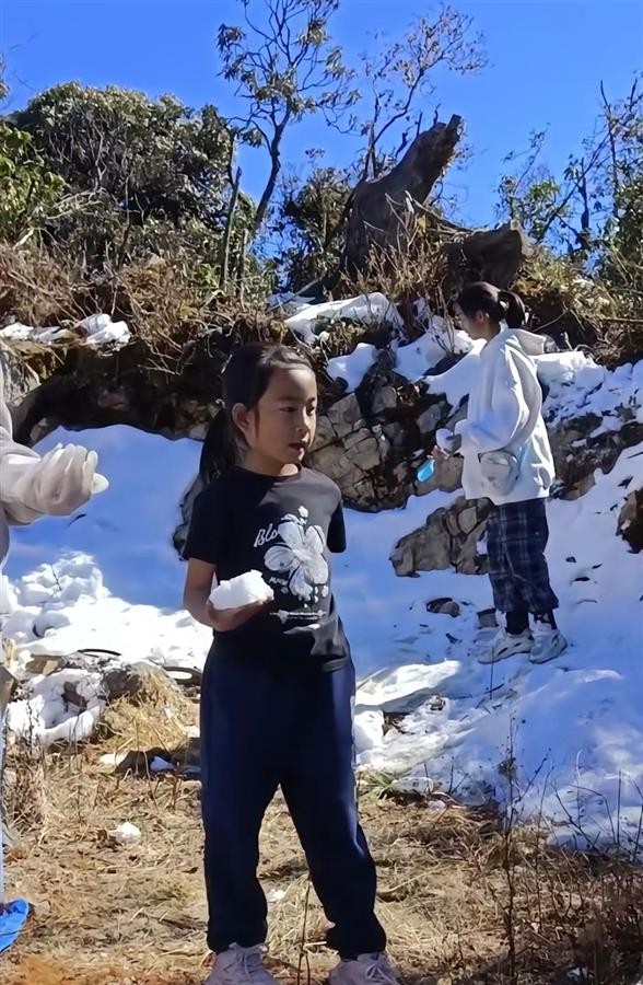 云南8岁女童雪山失踪5天，奇迹背后的故事