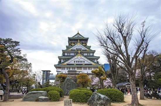 春节航空市场风云变幻，票价跌至百元时代？