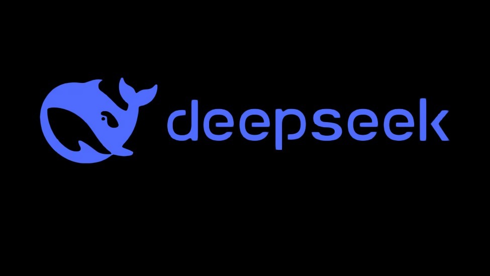 DeepSeek再次宕机的背后故事，一场技术的闹剧