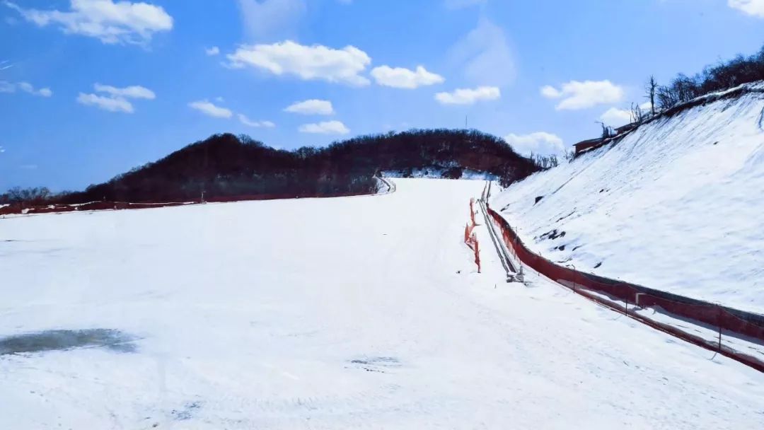 现实版的鹅毛大雪