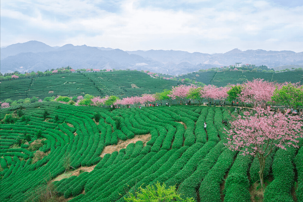 大年初六遇立春，岁月交替的喜与思