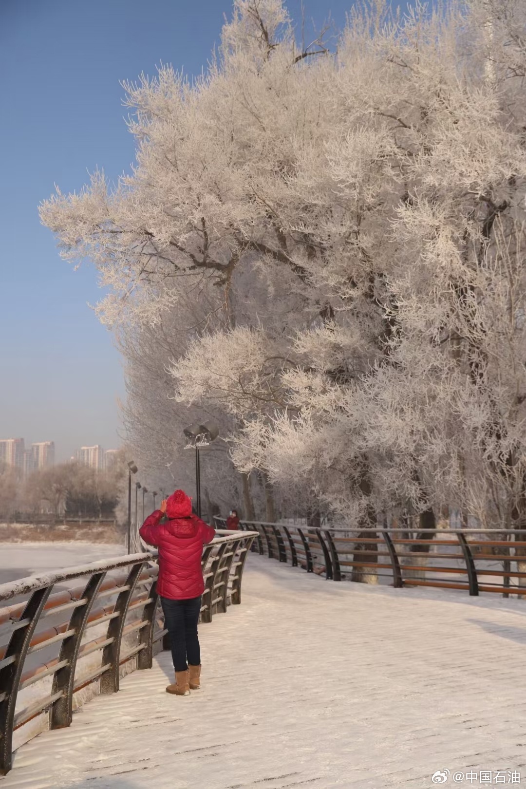 燃情冰雪 尔滨之夜，冰雪盛宴背后的故事，你了解多少？