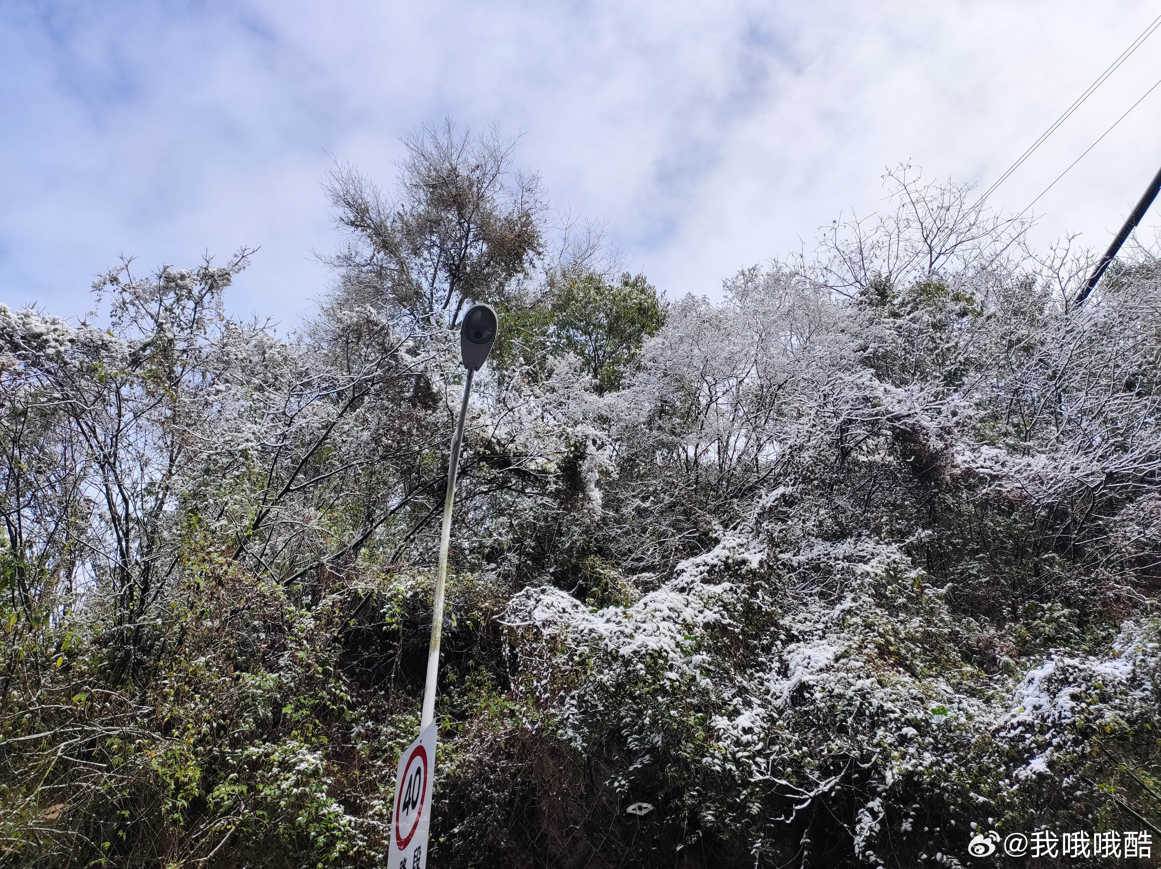 震惊！棉花代雪景区突发关闭事件，背后真相究竟为何？