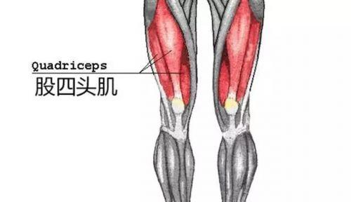 警惕！致命伤膝行为正悄悄上演——揭秘伤膝动作背后的隐患