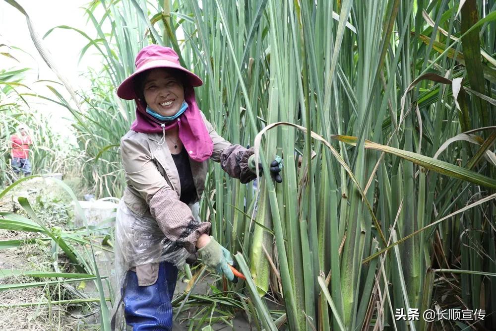 独家揭秘张核子上传商务座豪华之旅视频，背后隐藏了什么？