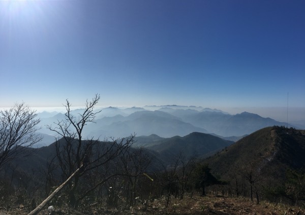 新澳龙门龙门资料大全反馈内容和总结,新澳龙门龙门资料大全_L版43.903