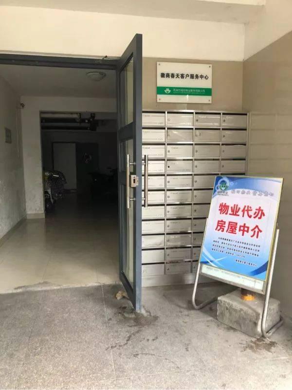 小车骤停引发惊险瞬间，电动车主遭遇无接触摔倒事件揭秘！惊险背后隐藏哪些谜团？