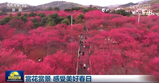 春光无限好，赏花赏景正当时，揭秘美好春日的秘密