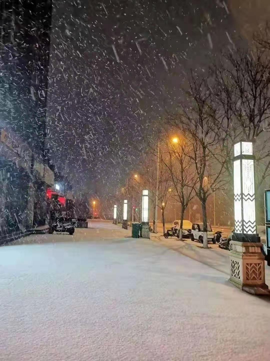 郑州下雪了，银装素裹下的古都神秘面纱与深度解读