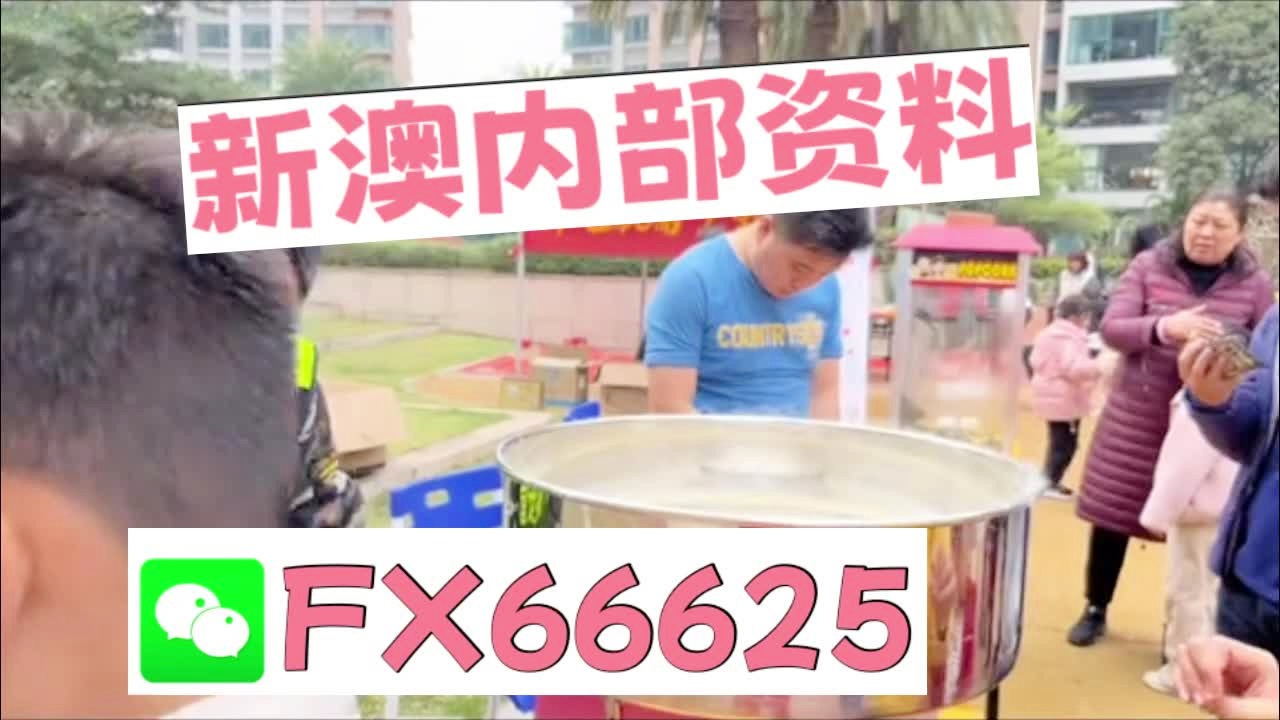 新澳2025正版资料大全揭秘，揭开WP19.511背后的真相！