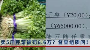 卖5斤芹菜被罚6.6万？背后真相让人震惊！