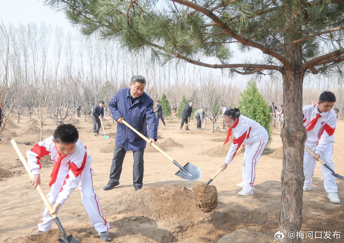 增绿就是增优势 植树就是植未来