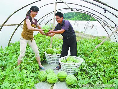 南宁一学生被蜜蜂“围殴”倒地