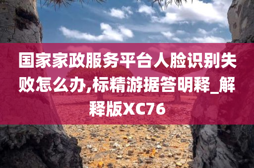 惊爆！2025正版资料免费大全N版63.28震撼来袭，下载攻略+落实到位深度解析，错过再等一年！